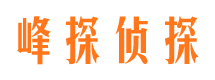 那曲市调查公司